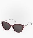 (S) Hail Fired Brick Polarized Lens Color Grey    