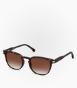 (S) Breeze Havana Tortoise Non Polarized Lens Color Brown   
