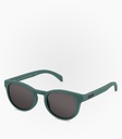 (S) Puelo Green Polarized Lens Color Grey     