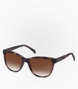 (S) Osorno Havana Tortoise Non Polarized Lens Color Brown   