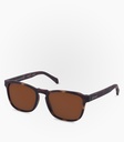 (S) Calbuco Havana Tortoise Non Polarized Lens Color Brown   