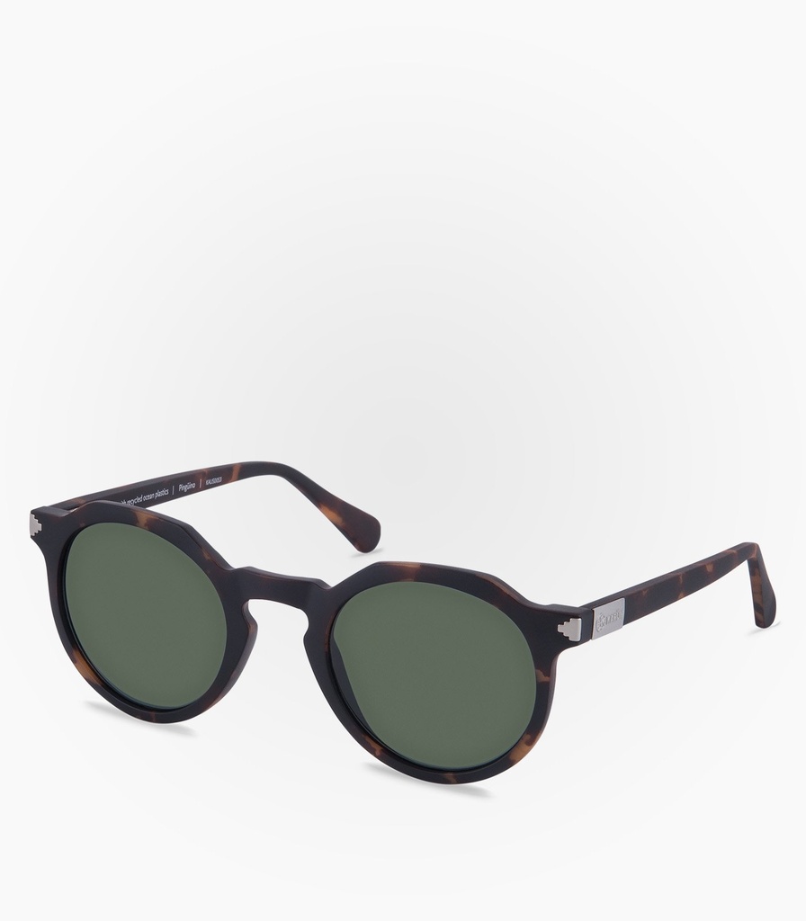 (S) Pingüino Havana Tortoise Lens Color Green G15   