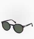 (S) Pingüino Havana Tortoise Lens Color Green G15   