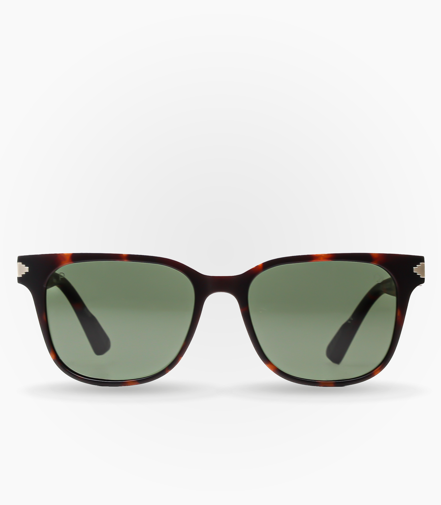 (S) Fario Havana Brown P