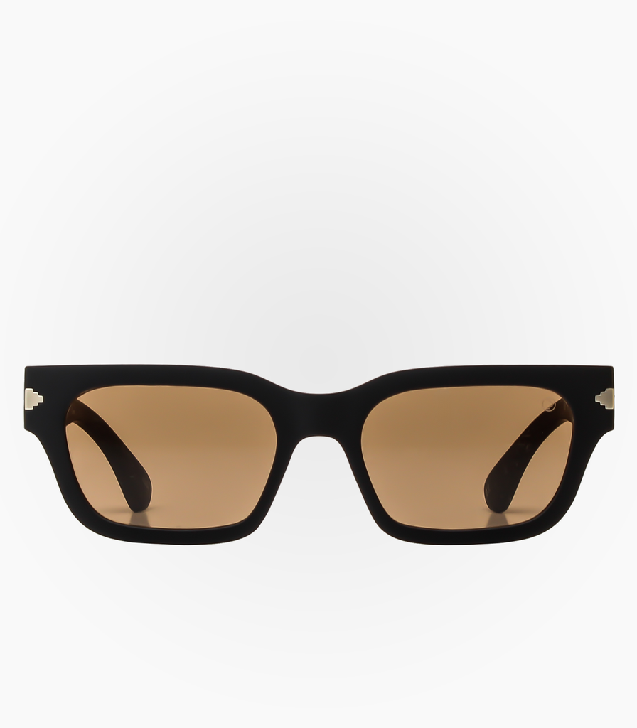 Cisne Black NP Lens Brown
