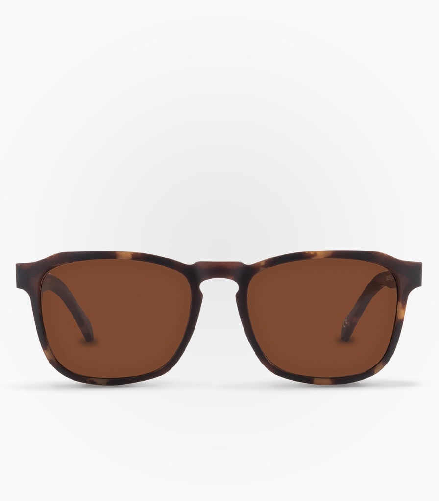 Calbuco Marron