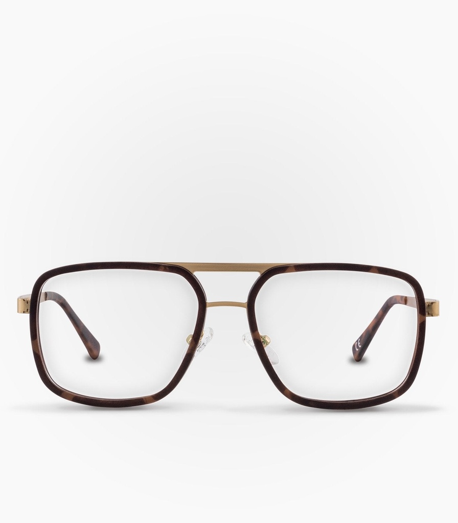 Coipo Marron