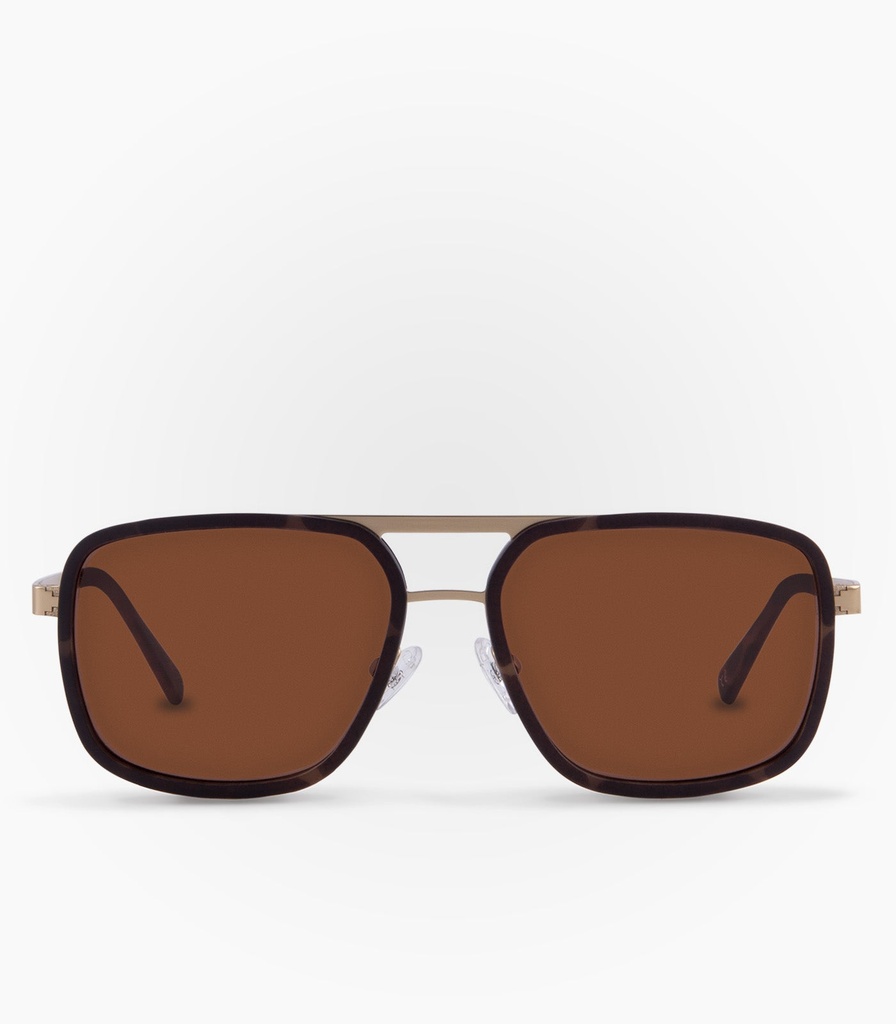 (S)  Coipo Marron