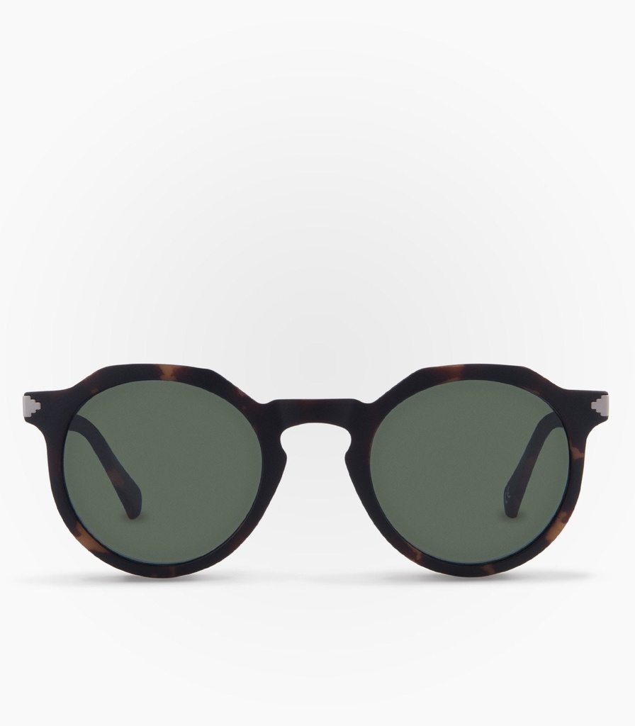 (S)  Pinguino Marron