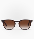 Breeze Havana  Brown Gradient non-Polarised