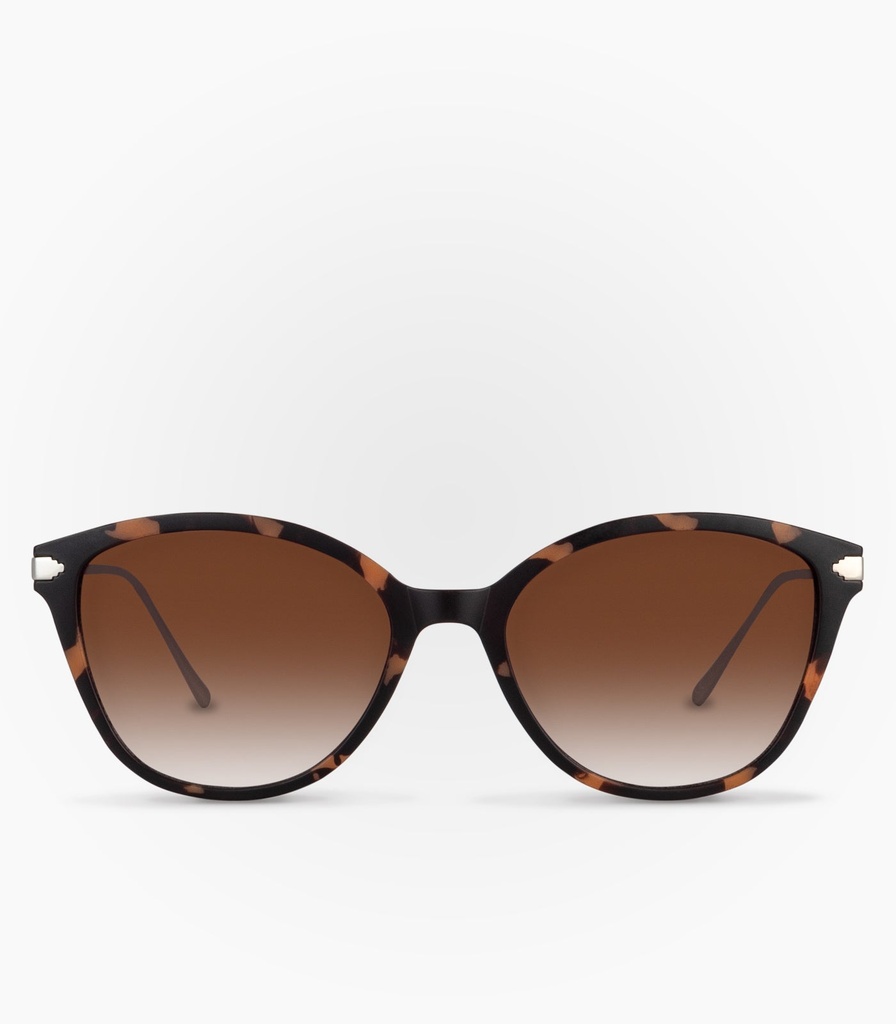 Hail Havana Brown Gradient non-Polarised