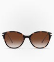 Hail Havana Brown Gradient non-Polarised