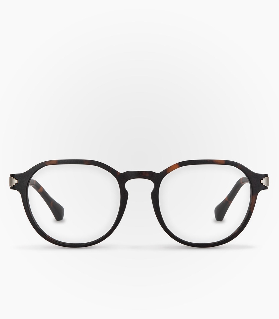 Martillo Havana Brown